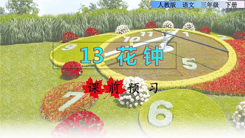 13 花钟课前预习课件01