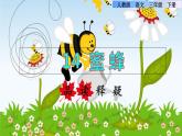 14 蜜蜂品读释疑课件