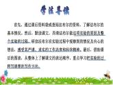 14 蜜蜂品读释疑课件