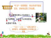 14 蜜蜂品读释疑课件