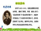14 蜜蜂初读感知课件