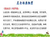14 蜜蜂拓展积累课件