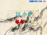 15 小虾品读释疑课件
