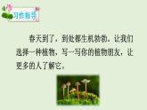 部编版小学语文三年级下册第一单元习作我的植物朋友课件+教案