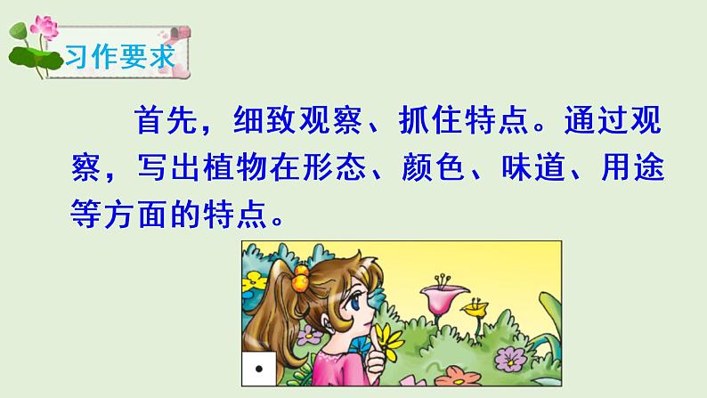 部编版小学语文三年级下册第一单元习作我的植物朋友课件第3页