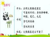 部编版小学语文三年级下册第七单元习作围绕提纲写作文课件+教案