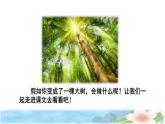 17  我变成了一棵树 初读感知课件