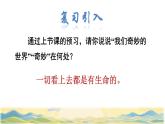 22  我们奇妙的世界品读释疑课件