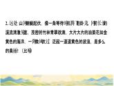 22  我们奇妙的世界拓展积累课件