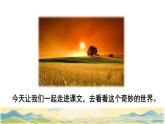 22  我们奇妙的世界初读感知课件