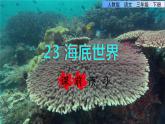 23 海底世界 课前预习课件