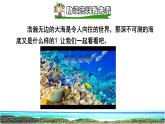 23 海底世界 课前预习课件
