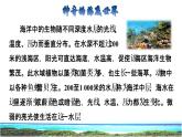 23 海底世界 课前预习课件