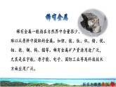 23 海底世界 课前预习课件