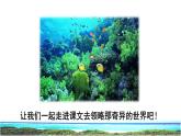 23 海底世界 初读感知课件
