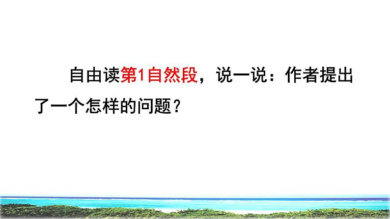 23 海底世界 品读释疑课件第4页