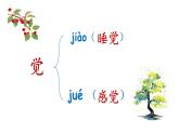 部编版小学语文一年级下册一个接一个课件第一课时