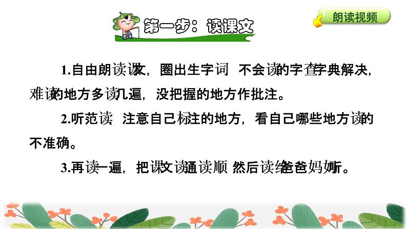 28  枣核课前预习课件第6页