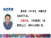 8 彩色的梦课前预习课件