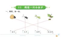 语文人教部编版课文311 我是一只小虫子课文课件ppt