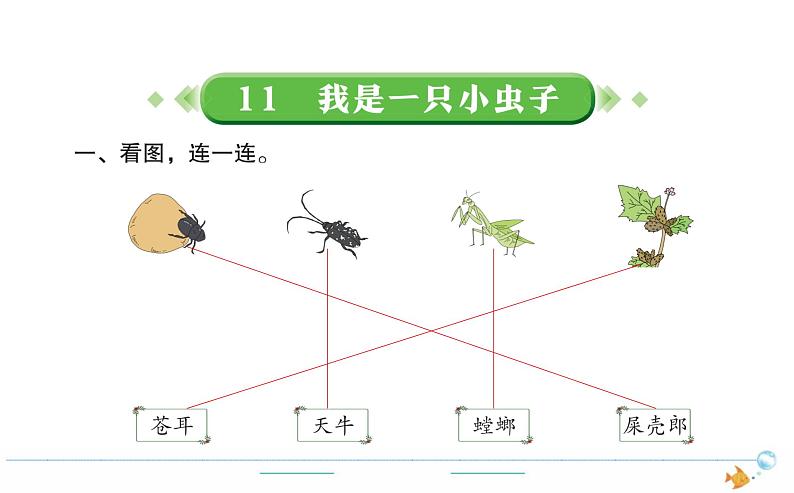 2年级语文下R  四  课文  11我是一只小虫子作业课件第1页
