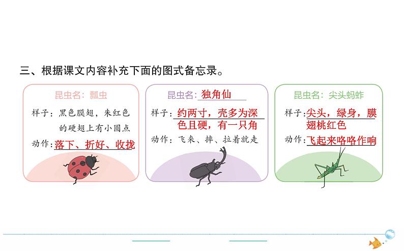 3年级语文下R  一   4昆虫备忘录作业课件第4页