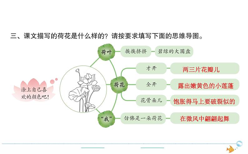 3年级语文下R  一   3荷花作业课件第4页