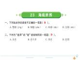 3年级语文下R  七   23海底世界作业课件