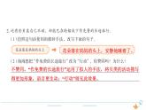 3年级语文下R  七   23海底世界作业课件
