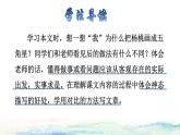 13  画杨桃品读释疑课件