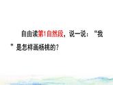 13  画杨桃品读释疑课件