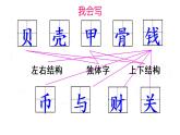 3《贝的故事》精美PPT课件