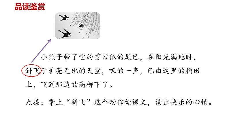 统编语文三（下）第1单元 2.《燕子》课件PPT04