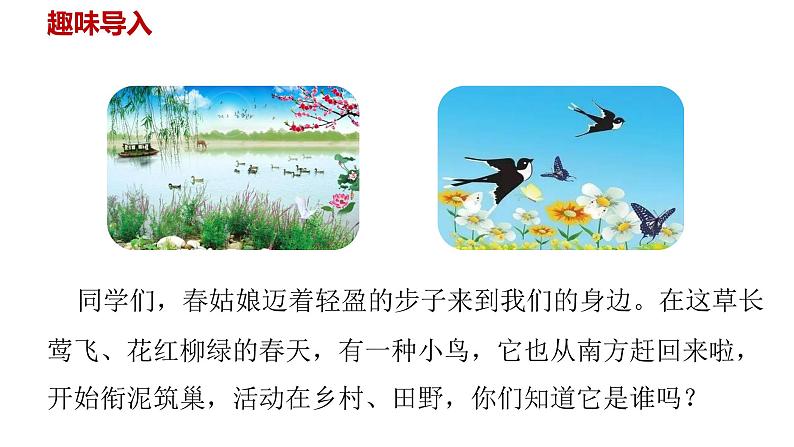统编语文三（下）第1单元 2.《燕子》课件PPT02