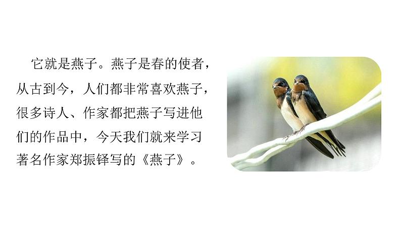 统编语文三（下）第1单元 2.《燕子》课件PPT03