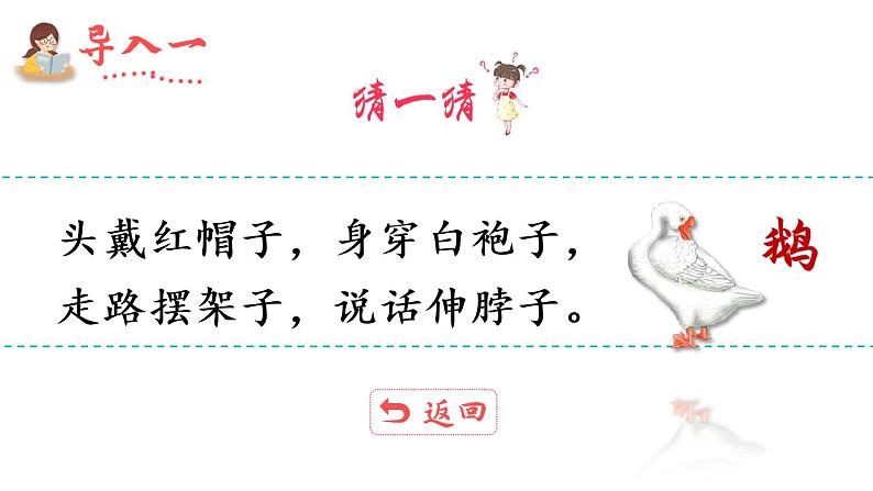 2022年部编版4年级下册课件+教案15 白鹅03