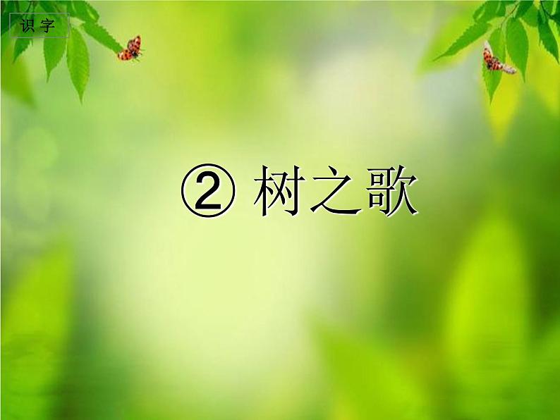 2《树之歌》课件第1页