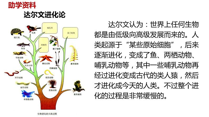 语文统编五（下）第8单元23《童年的发现》第4页