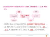 5年级语文下R  第五单元 14　刷子李作业课件