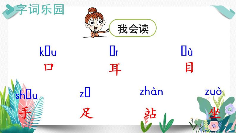 3部编版小学语文.口耳目第1课时课件PPT05