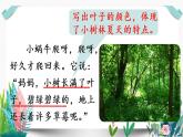 部编版小学语文14.小蜗牛第2课时课件PPT