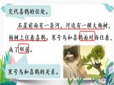 部编版小学语文13.寒号鸟第2课时课件PPT