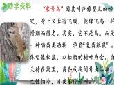 部编版小学语文13.寒号鸟第1课时课件PPT