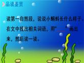 2部编版小学语文.小蝌蚪找妈妈 第2课时课件PPT