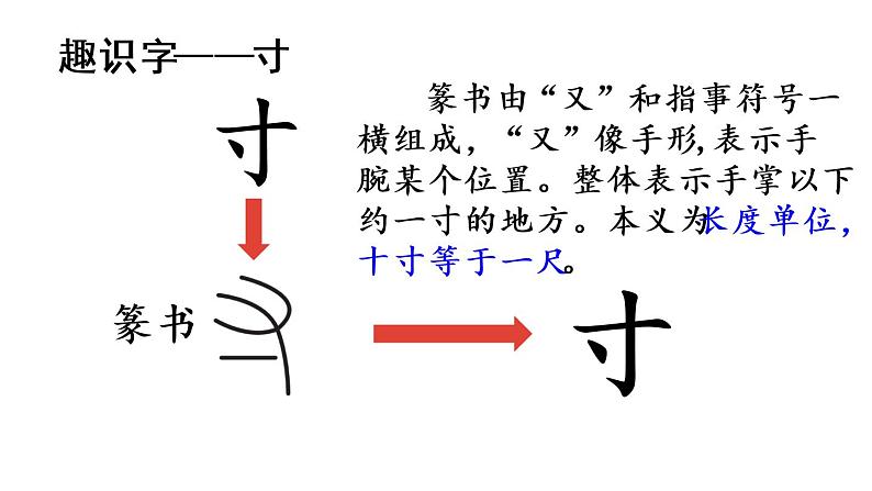 部编版小学语文11.蟋蟀的住宅第1课时课件PPT第8页