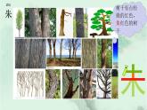 课文16 朱德的扁担 精品PPT 趣味识字课件