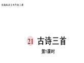 部編版小學(xué)語(yǔ)文21.古詩(shī)三首第1課時(shí)課件PPT