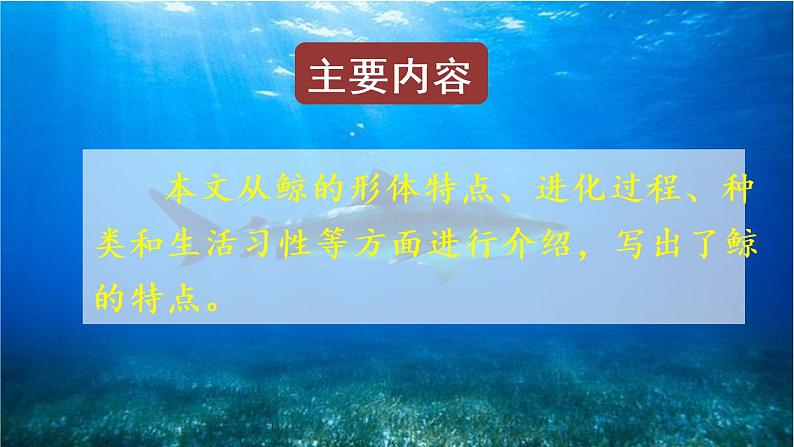 部编版小学语文习作例文与习作第1课时课件PPT04