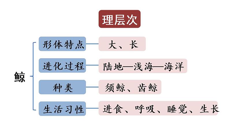 部编版小学语文习作例文与习作第1课时课件PPT05
