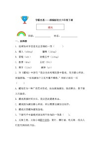 人教部编版六年级下册4* 藏戏课时训练